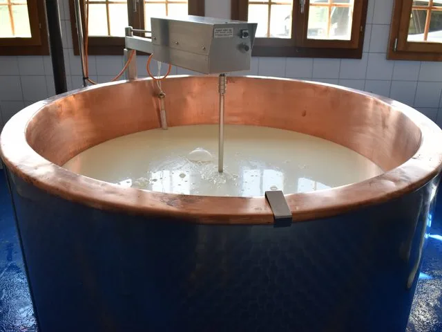 Quel lait choisir pour faire son fromage maison : le guide complet du passionné 5 Quel lait choisir pour faire son fromage maison : le guide complet du passionné