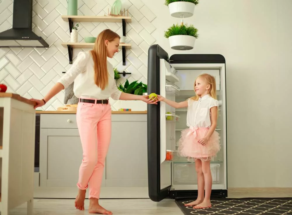 Quel réfrigérateur choisir selon la taille de votre foyer ? 2 Quel réfrigérateur choisir selon la taille de votre foyer ?
